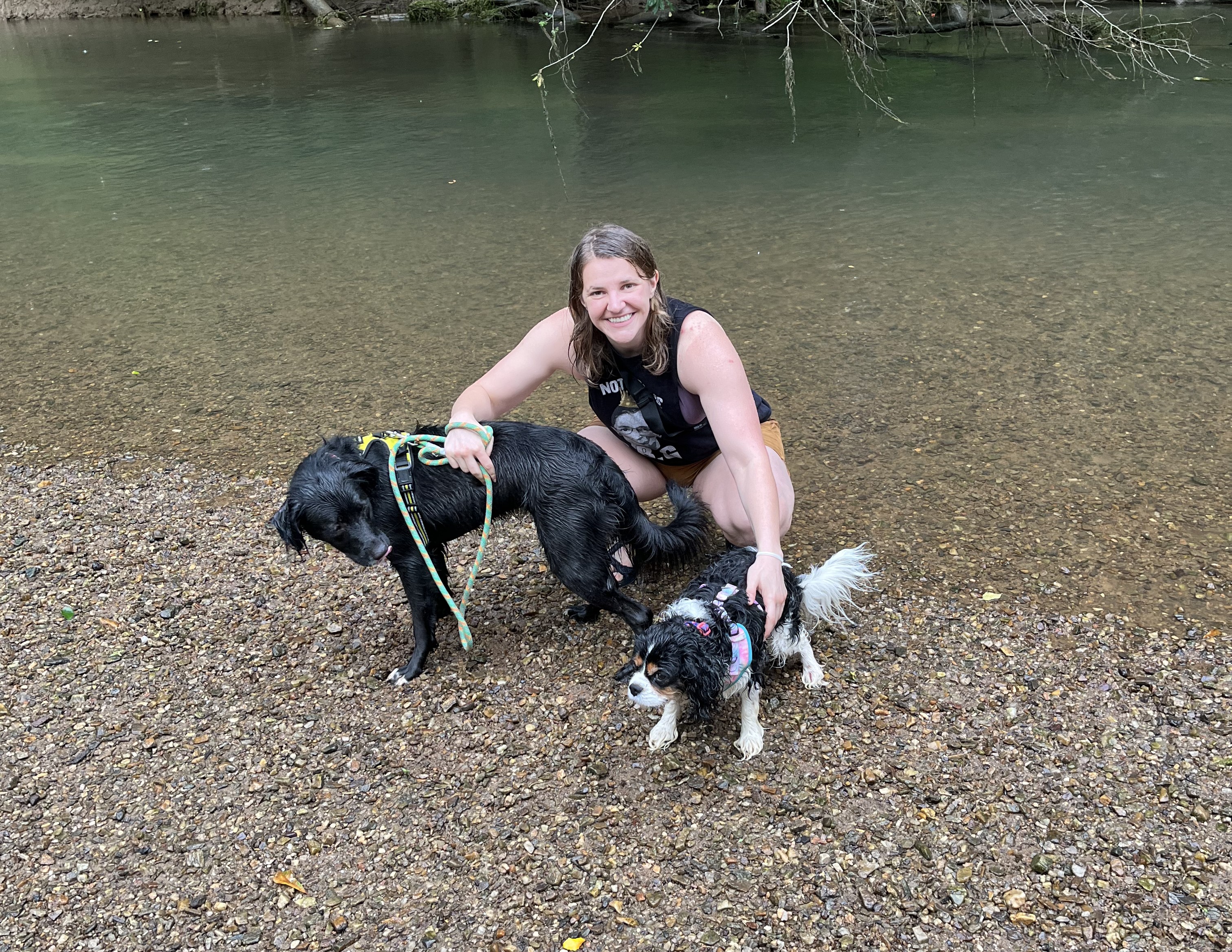 Homework vs Pet comparison